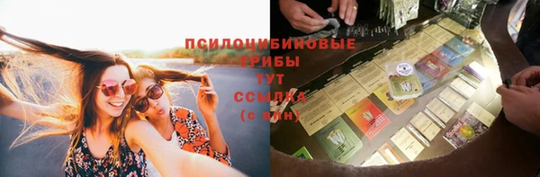 прущая мука Богданович