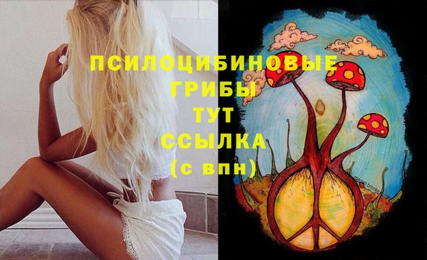 прущая мука Богданович