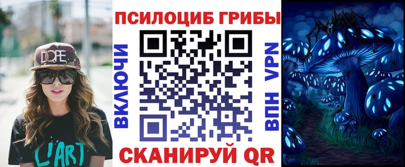 Галлюциногенные грибы Cubensis  MEGA зеркало  Буйнакск  как найти закладки 