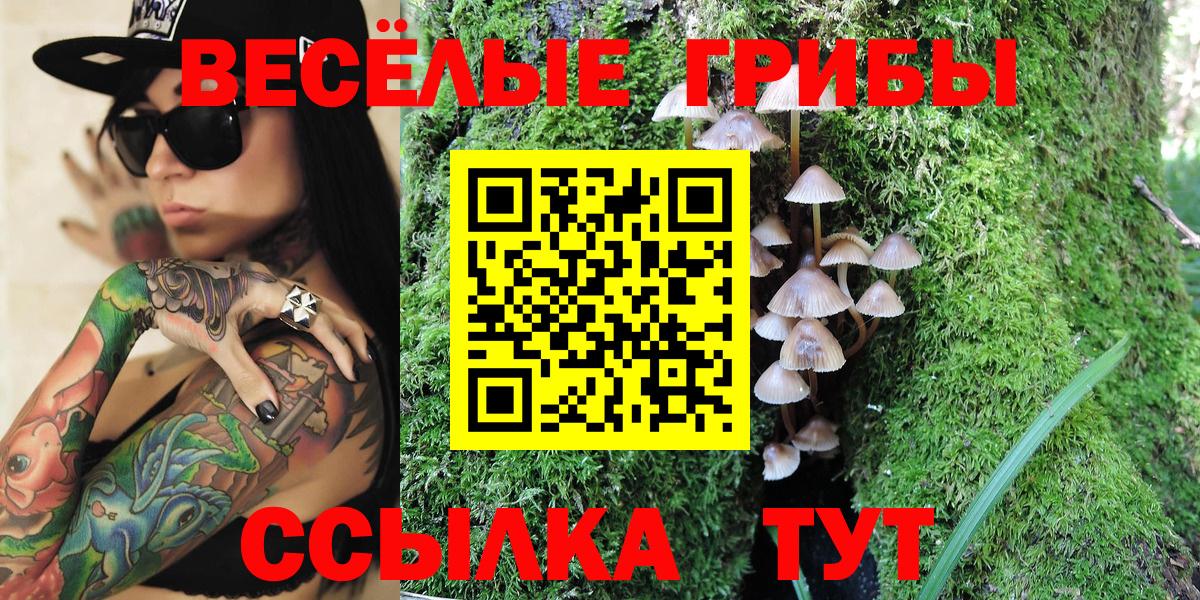 сколько стоит  Галлюциногенные грибы ЛСД  Вход с VPN  Буйнакск 