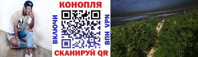 Канабис тримм  Буйнакск 